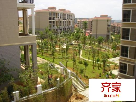 林業(yè)新村外景圖林業(yè)小區(qū) 