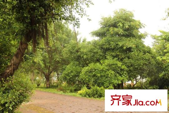 麗水灣別墅配套圖周邊的環(huán)境（2013-7-2）