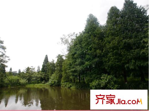 銘德樸墅良鳳江