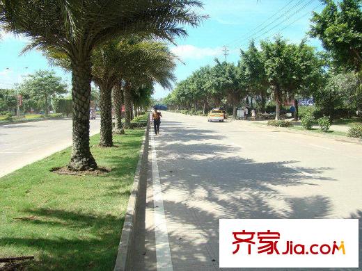融晟公園大地周邊道路