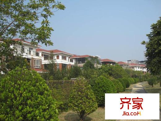 仙葫半島別墅山莊外景圖 