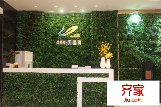 碧桂園?天璽灣展廳實景(2015-11-10)