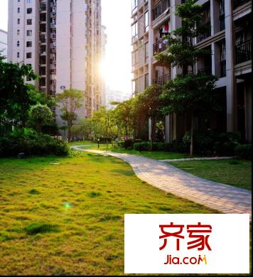 萊茵湖畔(2012-10-24)