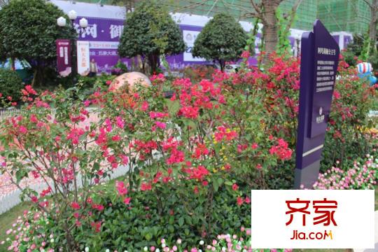 南寧恒大名都說(shuō)明牌實(shí)景(2015-12-3)