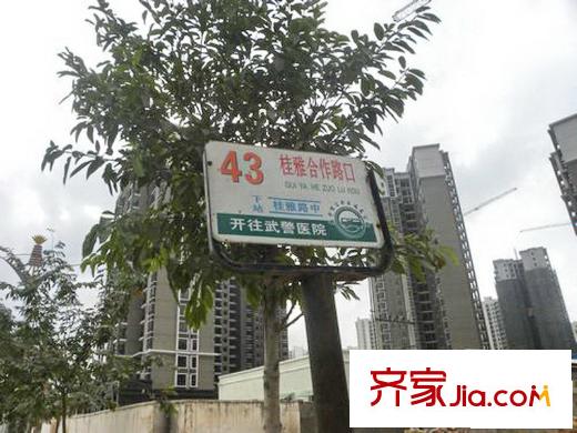 五洲國(guó)際公交站牌