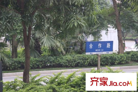 五洲國際路牌