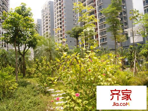 百花苑小區(qū)綠化（2013-07-23）
