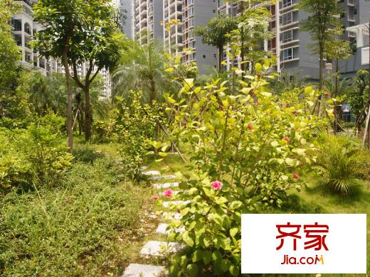 百花苑小區(qū)綠化（2013-07-23）