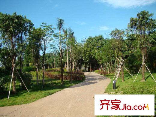 融晟公園大地附近市政公園配套