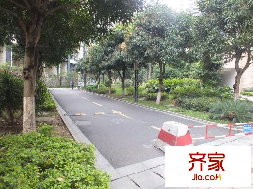民發(fā)大觀天下（2015-3-25）