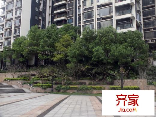 民發(fā)大觀天下（2015-3-25）