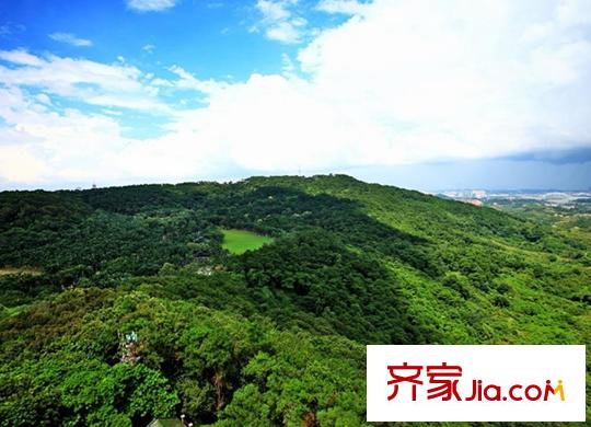 江山御景周邊配套之五象嶺森林公園