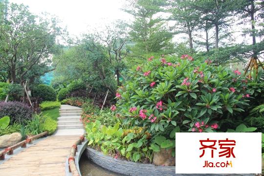 榮和千千樹園林水景區(qū)實景（2015.07.22）