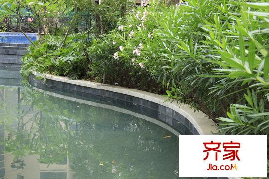 江宇世紀(jì)城住宅游泳池實(shí)拍（2015.7）
