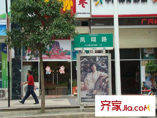 裕豐英倫配套圖附近鳳翔路況（2010.7.30）