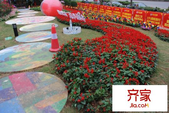 南寧恒大名都園林花卉實(shí)景(2015-12-3)