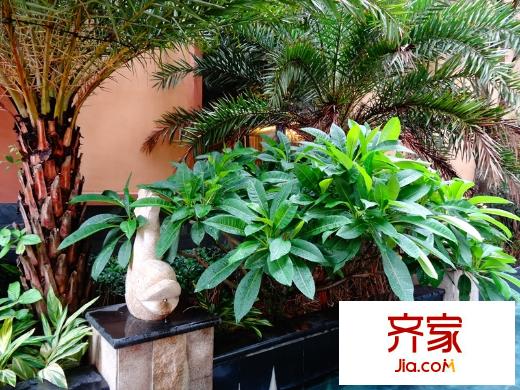 江悅藍(lán)灣售樓中心（2014-6-21）