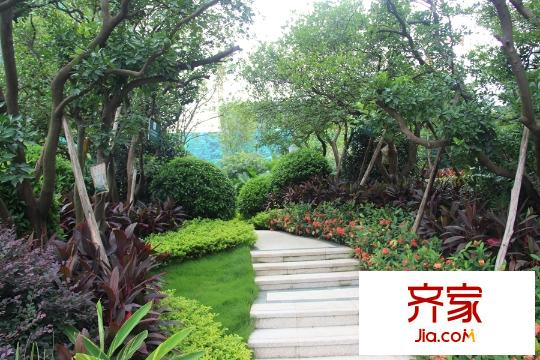 榮和千千樹園林實景（2015.07.22）