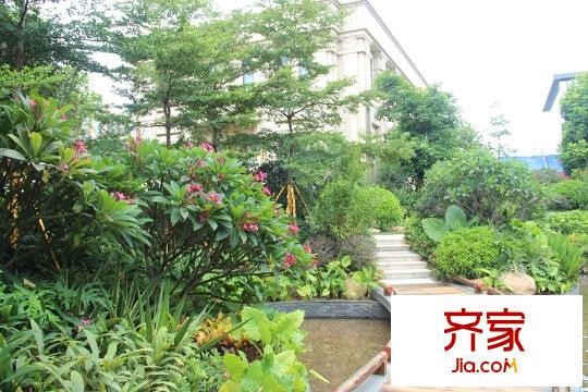榮和千千樹園林小道實景（2015.07.22）