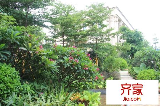 榮和千千樹園林綠化實景（2015.07.22）