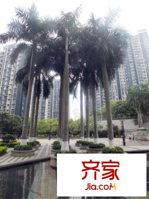 民發(fā)大觀天下（2015-3-25）