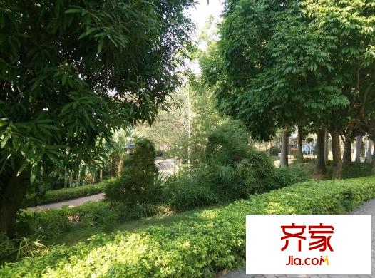 榮和山水美地外景圖 