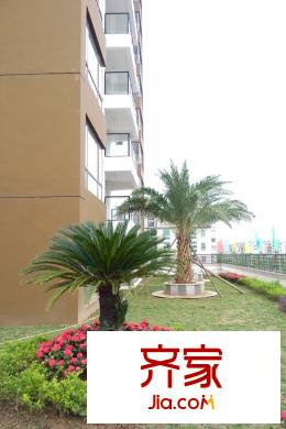 凱宇國際綠化帶（2014-12-31）
