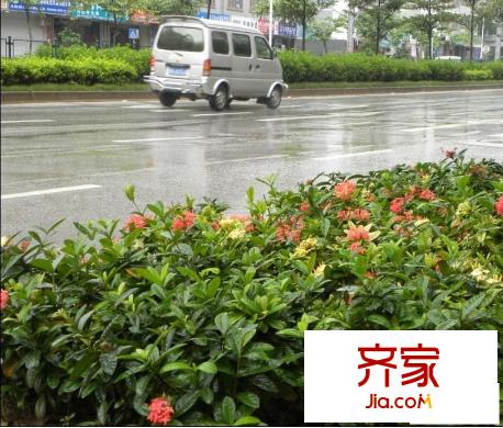 海棠一品周邊道路（攝于2013-6）