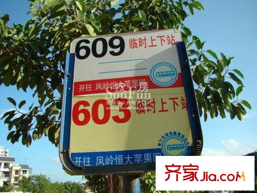 夢之島花園周邊配套之公交站牌