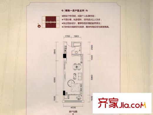 海麗世紀(jì)桃源精致1房 1室1廳1衛(wèi)1廚