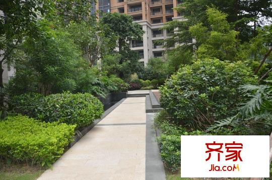 廣源國(guó)際社區(qū)小區(qū)園林（2015-08-11）