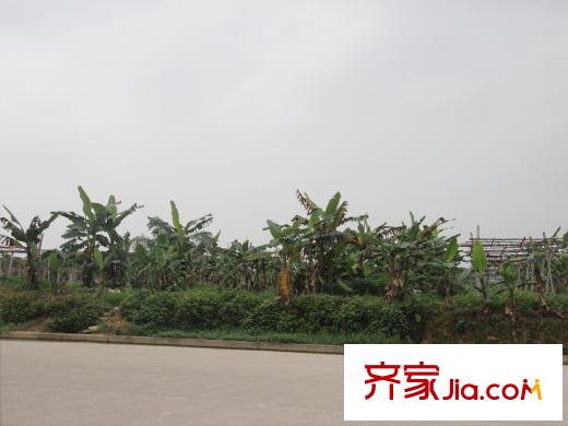 人和萊茵鷺湖周邊