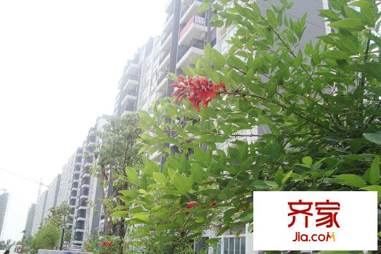 鳳嶺春天小區(qū)（2011.5.25）