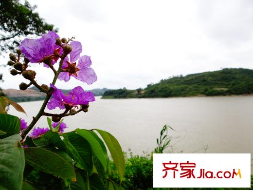 江山麓府周邊配套之附近江景