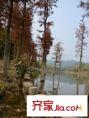 人和萊茵鷺湖相思湖風情（2014-1-6）