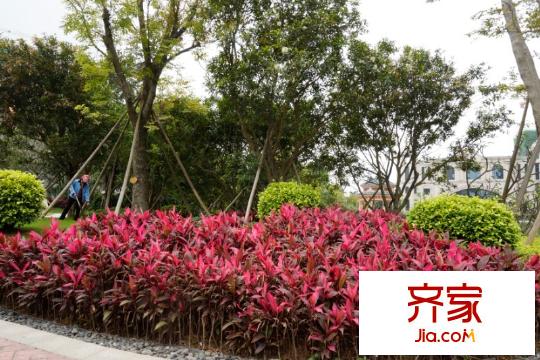 防城港恒大御景灣園林實景（2014-04-19）