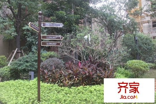 中海國際社區(qū)園林(2015-11-19)