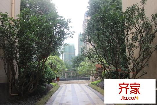 中海國際社區(qū)園林(2015-11-19)