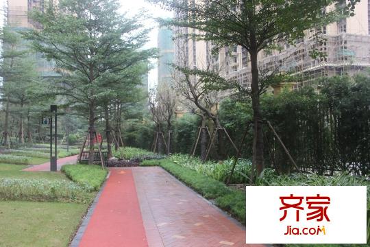中海國際社區(qū)園林(2015-11-19)
