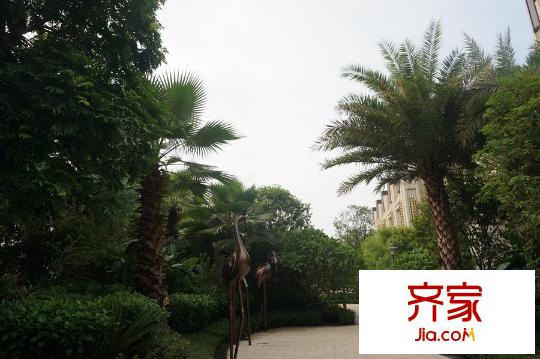 合景天匯廣場(chǎng)園林(2015-09-10)