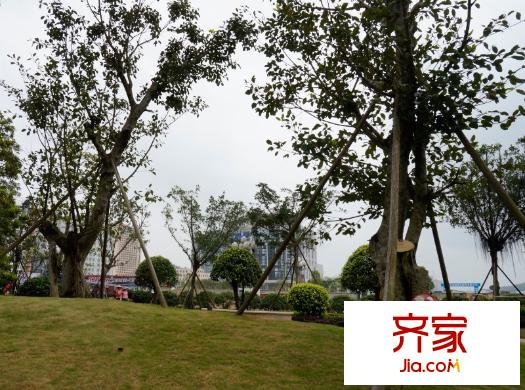 防城港恒大御景灣園林實景（2014-04-19）