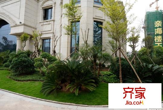 防城港恒大御景灣園林實景（2014-04-19）