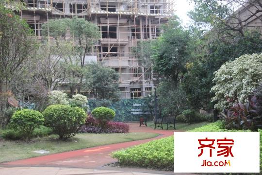 中海國際社區(qū)園林(2015-11-19)