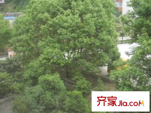 大營(yíng)坡汪家灣配套圖 周邊配套