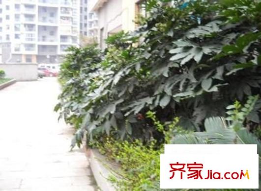 城基路中行小區(qū)配套圖 周邊配套