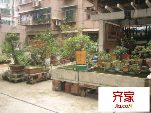 凱發(fā)家園外景圖 