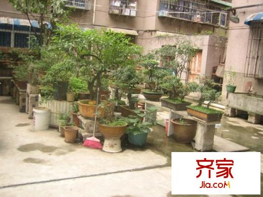 凱發(fā)家園外景圖 