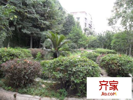 13中教師家屬區(qū)外景圖4