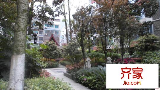 興隆譽(yù)峰外景圖 
