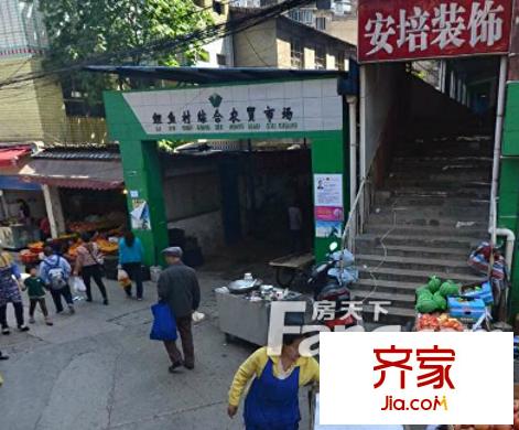 鯉魚村外景圖  3